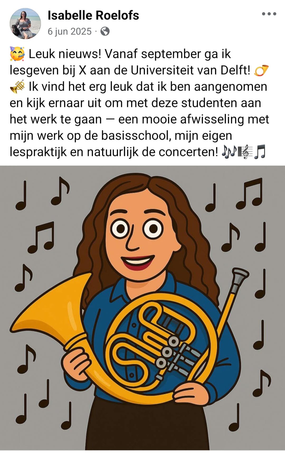 Aangenomen als hoorndocent bij X op de TU Delft